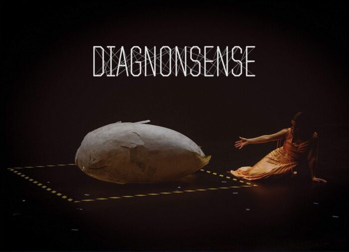 diagnonsense-hoved.jpeg#asset:2304:artikkel